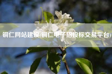 铜仁网站建设(铜仁电子招投标交易平台)