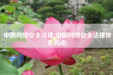 中国网络安全法律(中国网络安全法律体系构成)