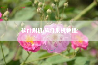软件刷机(软件刷机教程)