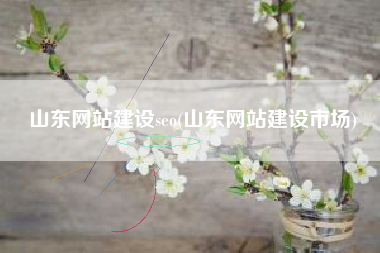山东网站建设seo(山东网站建设市场)