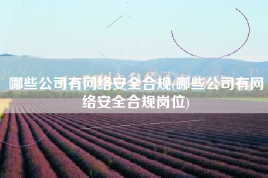 哪些公司有网络安全合规(哪些公司有网络安全合规岗位)