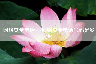 网络安全电话号(网络安全电话号码是多少)