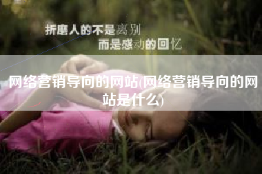 网络营销导向的网站(网络营销导向的网站是什么)