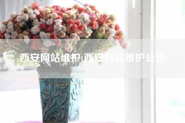 西安网站维护(西安网站维护公司)