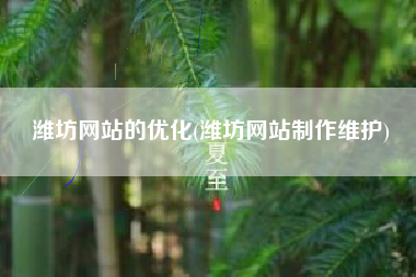 潍坊网站的优化(潍坊网站制作维护)