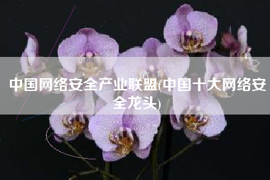 中国网络安全产业联盟(中国十大网络安全龙头)