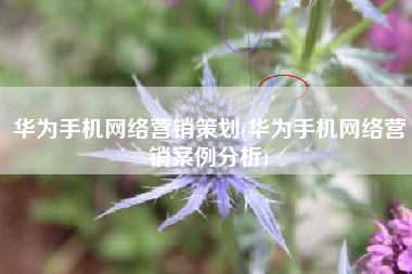 华为手机网络营销策划(华为手机网络营销案例分析)
