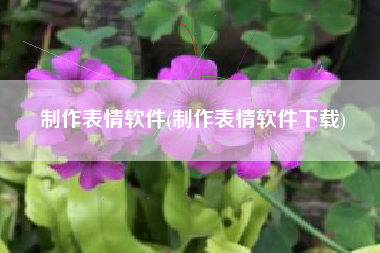 制作表情软件(制作表情软件下载)