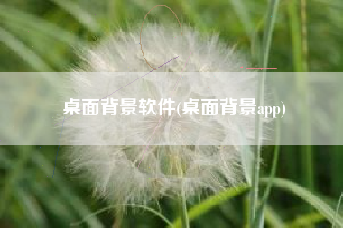 桌面背景软件(桌面背景app)