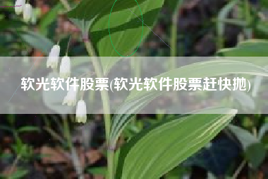 软光软件股票(软光软件股票赶快抛)
