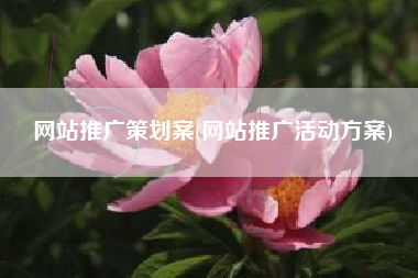 网站推广策划案(网站推广活动方案)