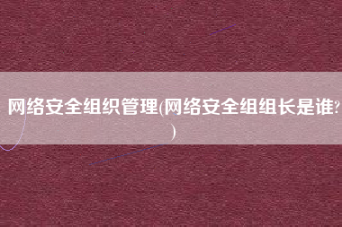 网络安全组织管理(网络安全组组长是谁?)