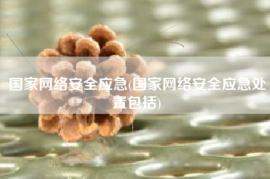 国家网络安全应急(国家网络安全应急处置包括)
