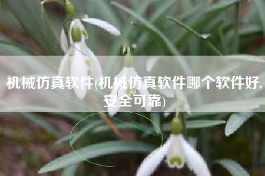 机械仿真软件(机械仿真软件哪个软件好,安全可靠)