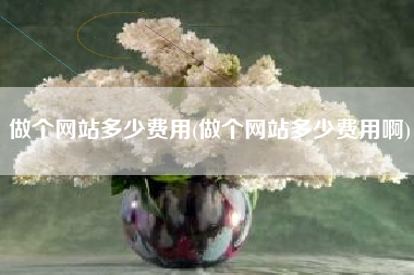 做个网站多少费用(做个网站多少费用啊)