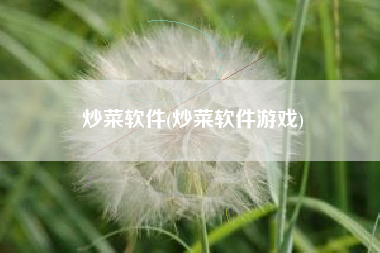炒菜软件(炒菜软件游戏)