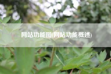 网站功能图(网站功能概述)