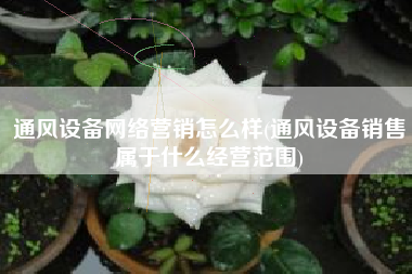 通风设备网络营销怎么样(通风设备销售属于什么经营范围)