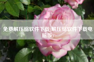 免费解压缩软件下载(解压缩软件下载电脑版)