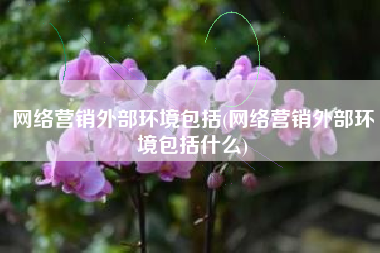 网络营销外部环境包括(网络营销外部环境包括什么)