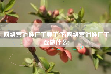 网络营销推广主要工作(网络营销推广主要做什么)