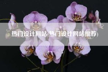 热门设计网站(热门设计网站推荐)