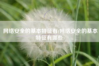 网络安全的基本特征有(网络安全的基本特征有哪些)