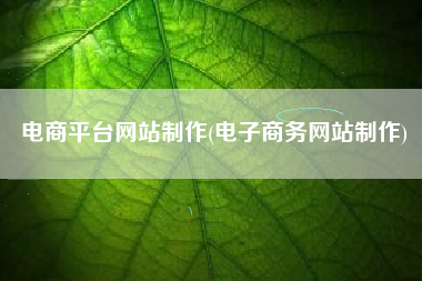电商平台网站制作(电子商务网站制作)