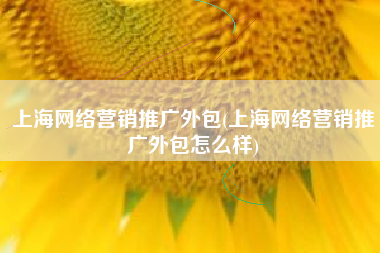 上海网络营销推广外包(上海网络营销推广外包怎么样)