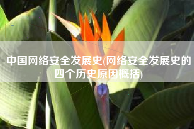 中国网络安全发展史(网络安全发展史的四个历史原因概括)