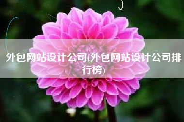外包网站设计公司(外包网站设计公司排行榜)