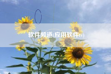 软件频道(应用软件tv)