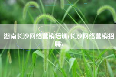 湖南长沙网络营销培训(长沙网络营销招聘)