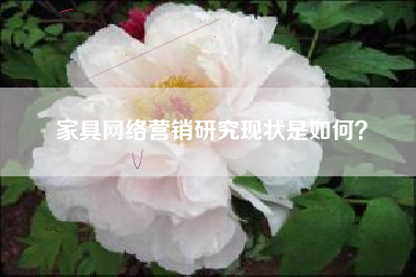 家具网络营销研究现状是如何？