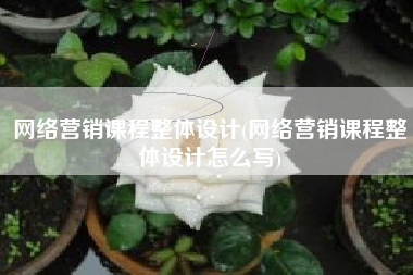 网络营销课程整体设计(网络营销课程整体设计怎么写)