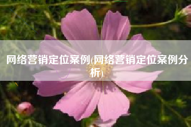 网络营销定位案例(网络营销定位案例分析)