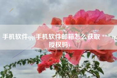 手机软件qq(手机软件邮箱怎么获取 *** tp授权码)