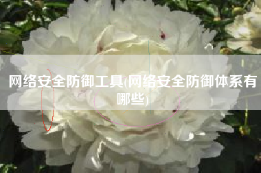 网络安全防御工具(网络安全防御体系有哪些)