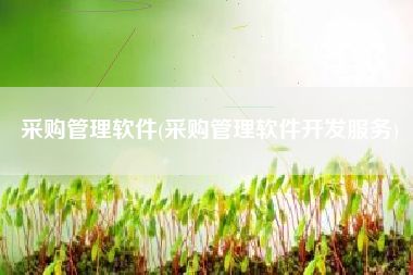 采购管理软件(采购管理软件开发服务)