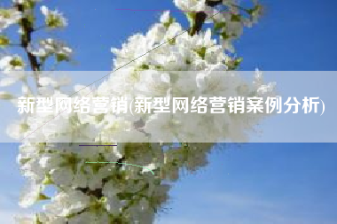 新型网络营销(新型网络营销案例分析)