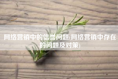 网络营销中的信誉问题(网络营销中存在的问题及对策)