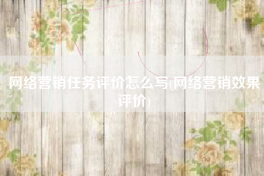 网络营销任务评价怎么写(网络营销效果评价)
