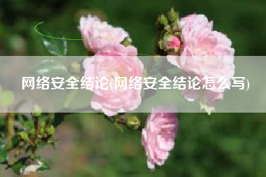 网络安全结论(网络安全结论怎么写)