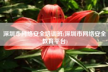 深圳市网络安全培训班(深圳市网络安全教育平台)