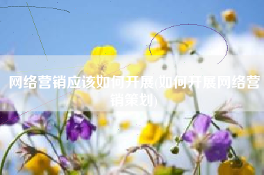 网络营销应该如何开展(如何开展网络营销策划)