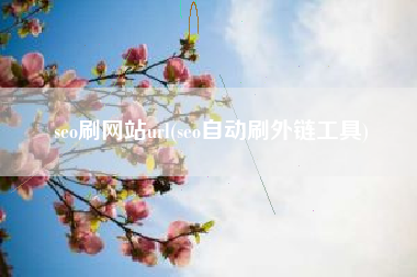 seo刷网站url(seo自动刷外链工具)