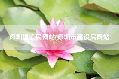 深圳建设局网站(深圳市建设局网站)
