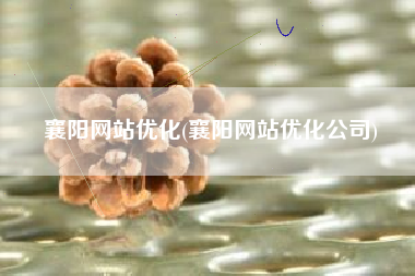 襄阳网站优化(襄阳网站优化公司)