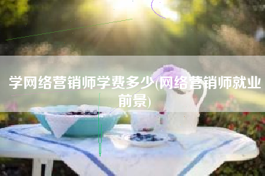 学网络营销师学费多少(网络营销师就业前景)
