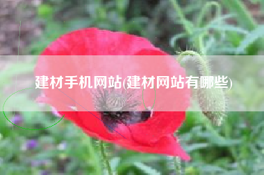 建材手机网站(建材网站有哪些)